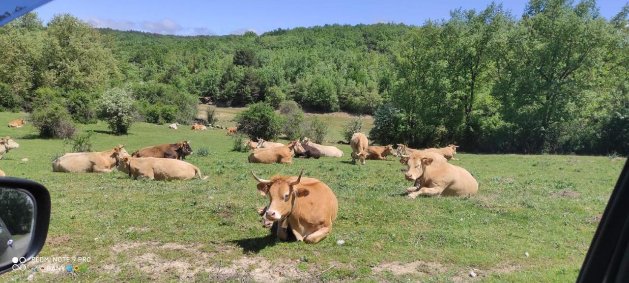 Hostal Rio Duero Molinos de Duero Bagian luar foto